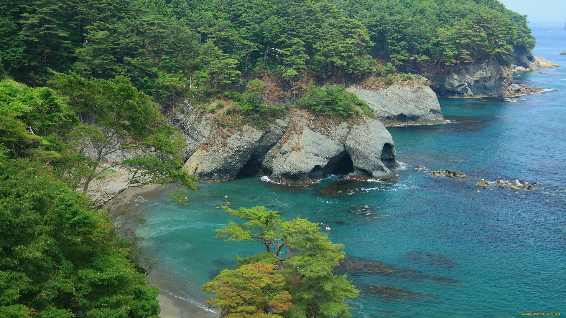 природа, побережье