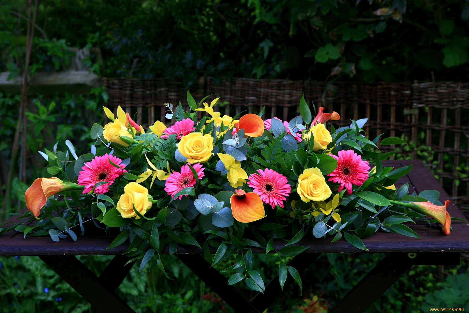 цветы, букеты, композиции, каллы, розы, герберы