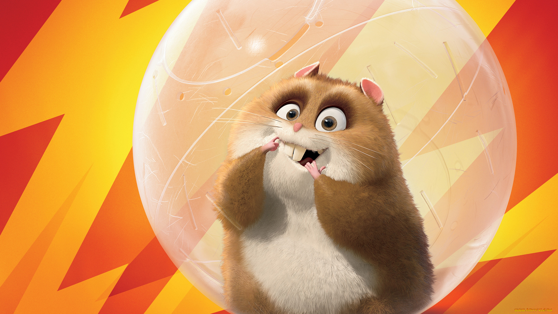 вольт, мультфильмы, bolt, хомяк, грузын, пухлый