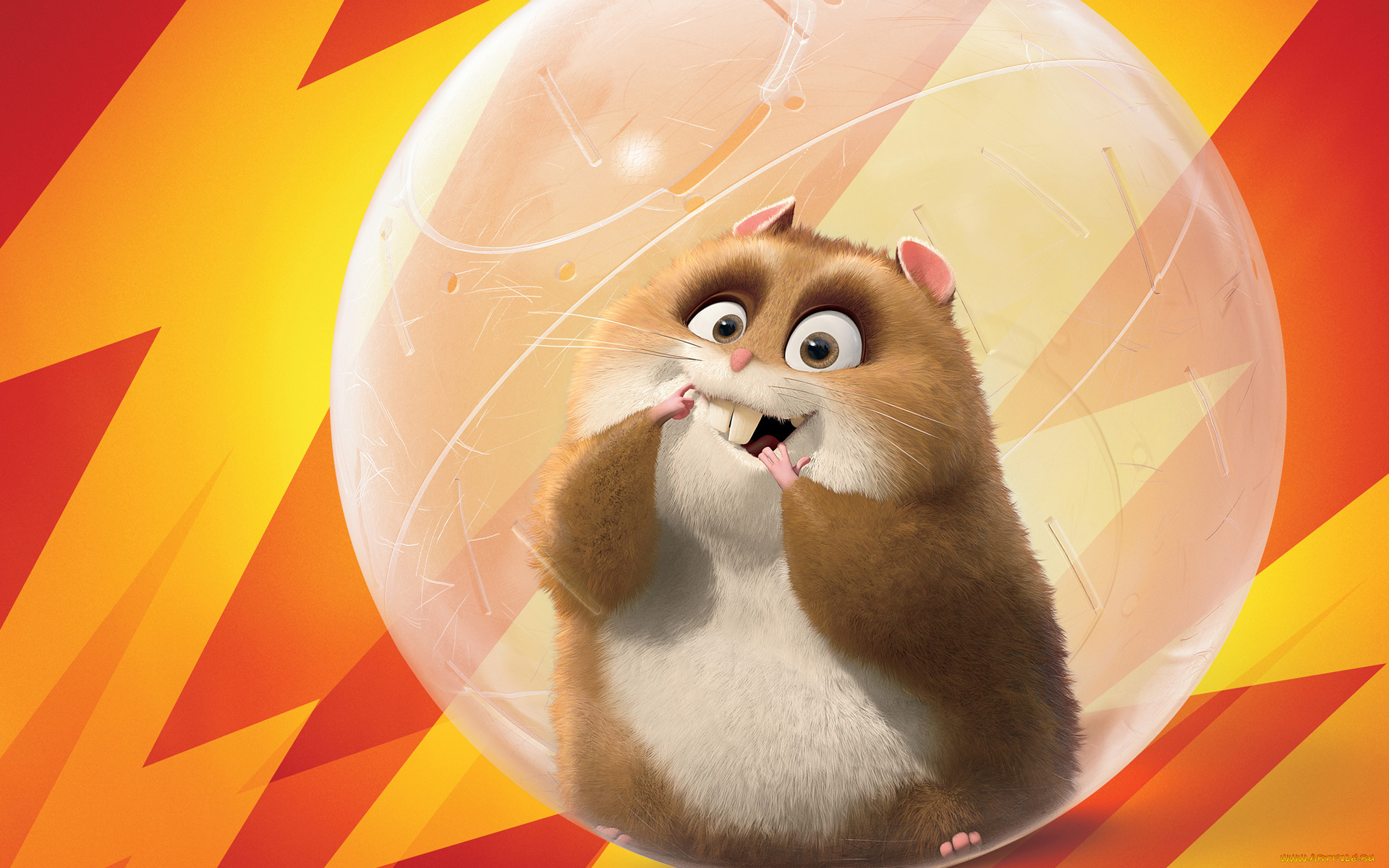 вольт, мультфильмы, bolt, хомяк, грузын, пухлый