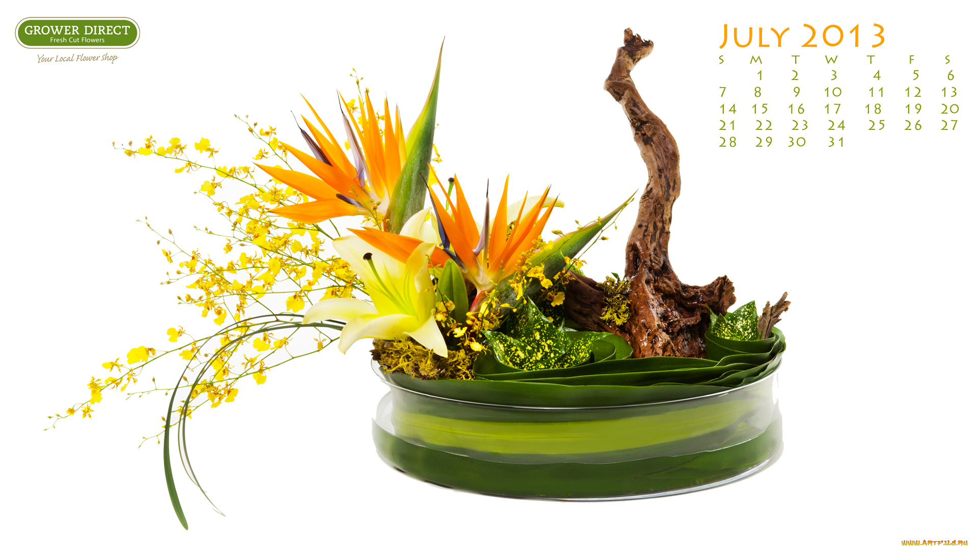календари, цветы, лилия, стрелиция