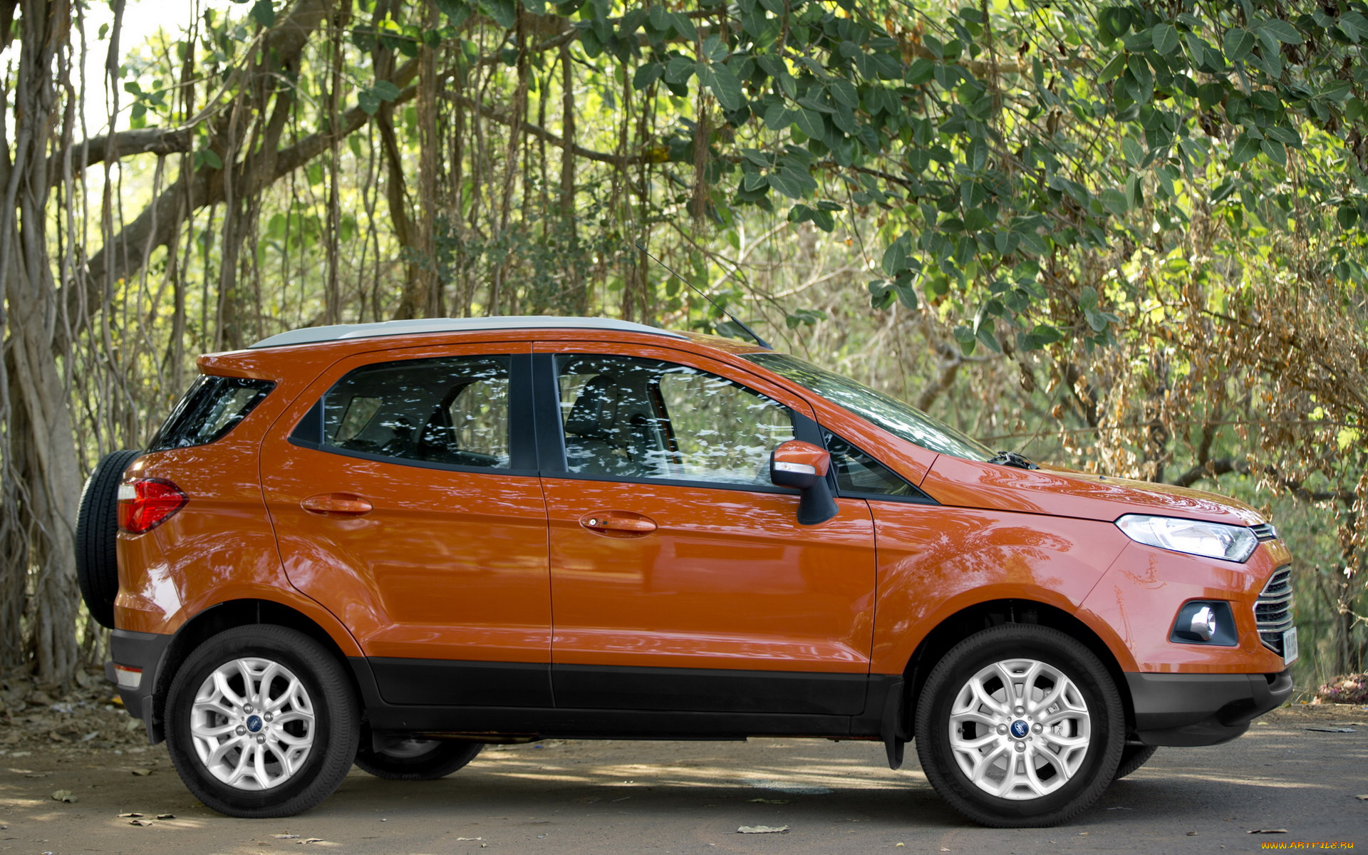 автомобили, ford, car