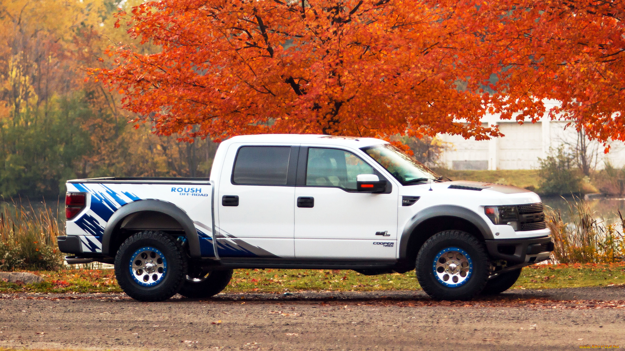 ford, автомобили, сша, motor, company