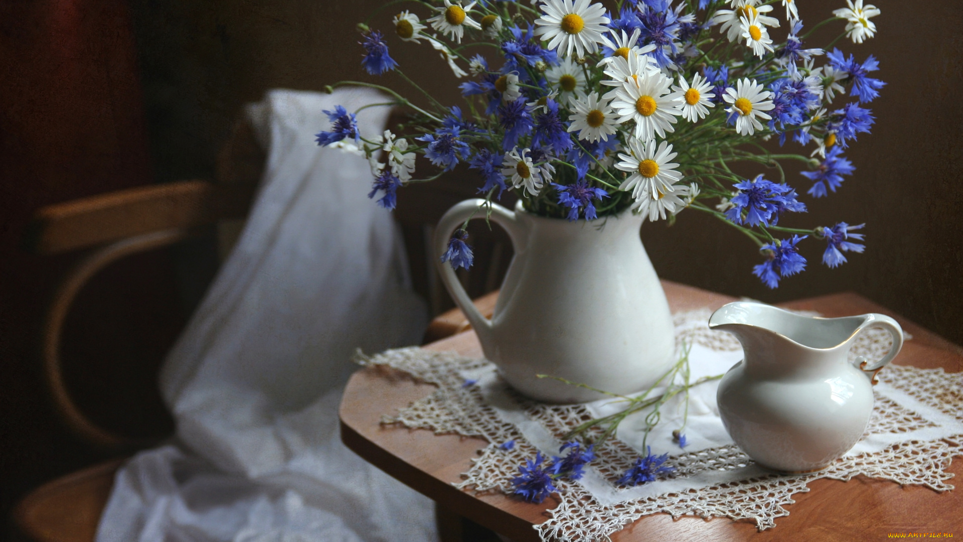 цветы, луговые, , полевые, , цветы, васильки, ромашки