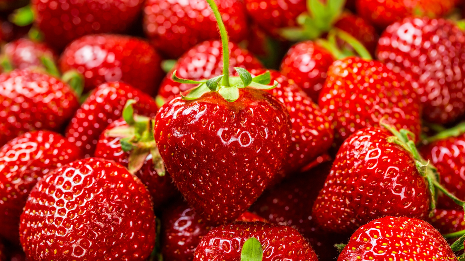 еда, клубника, , земляника, ягоды