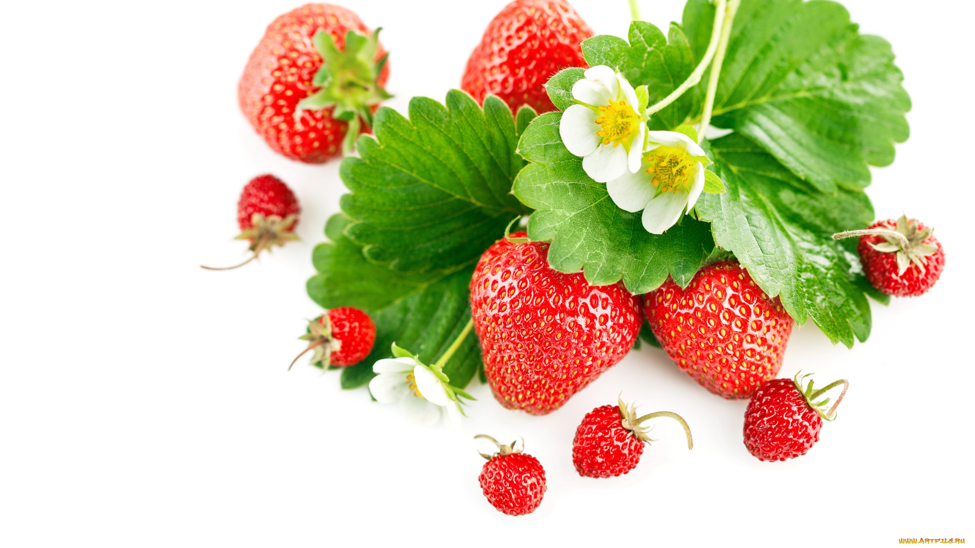 еда, клубника, , земляника, ягоды