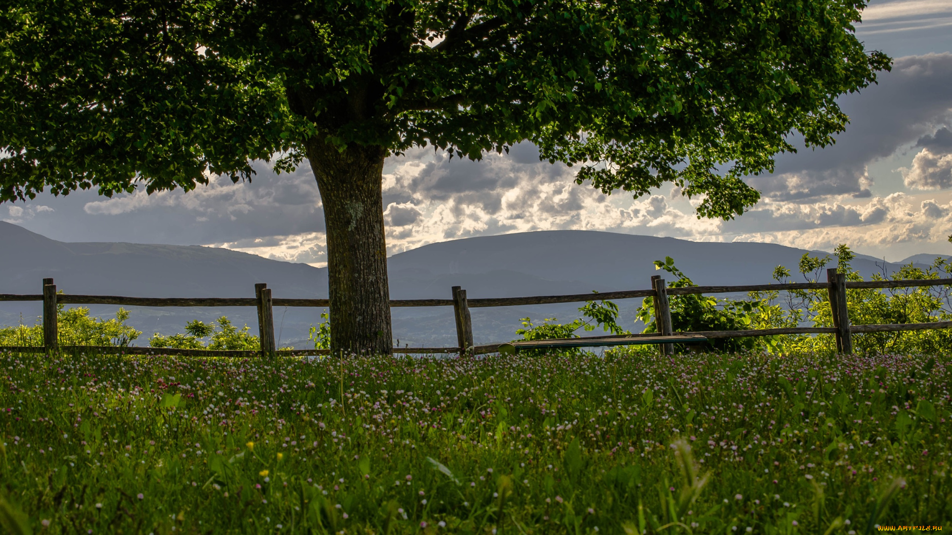 природа, деревья, дерево, луг, клевер, горы, забор