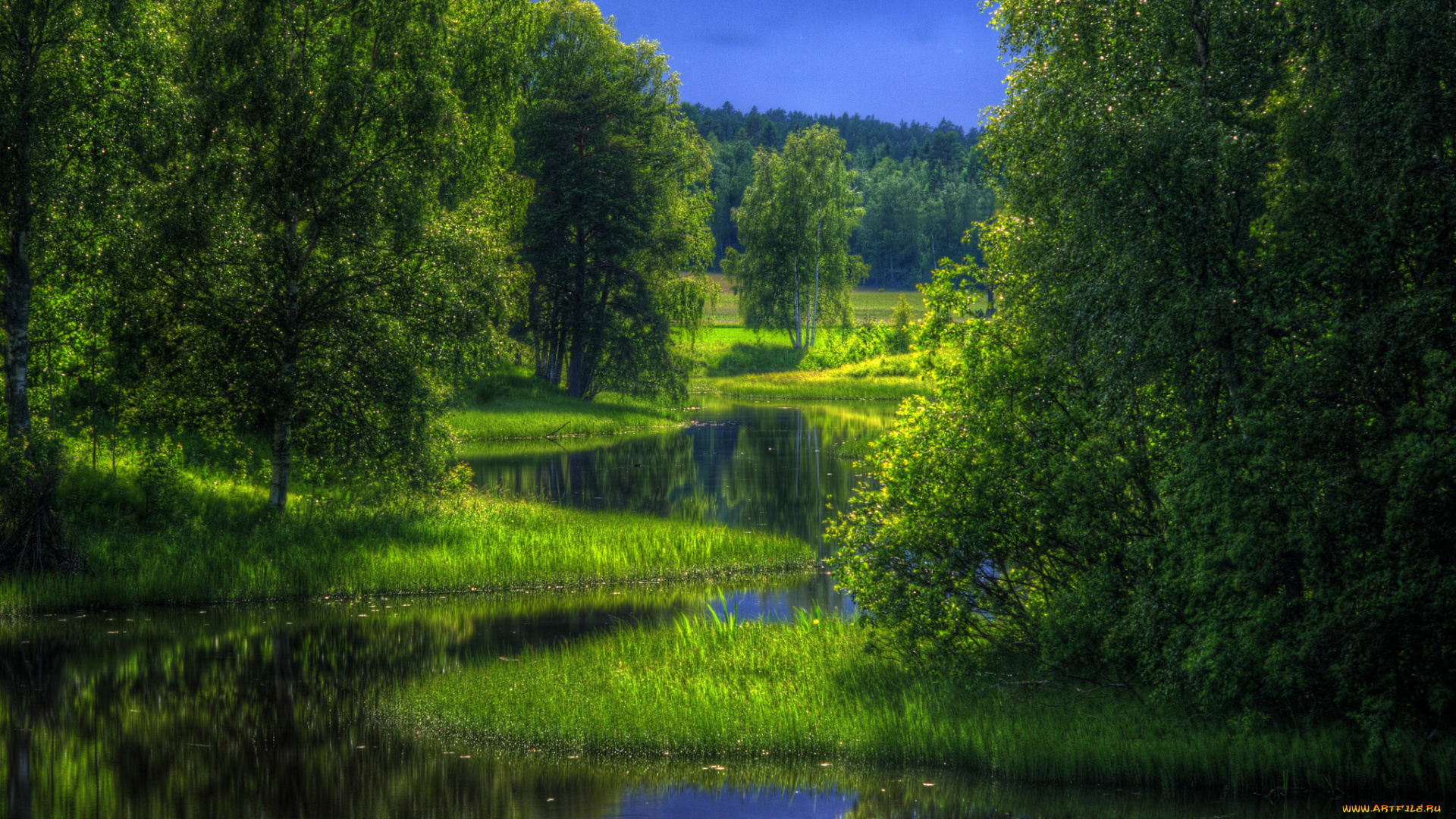 природа, реки, озера, зелень, река, лес, лето