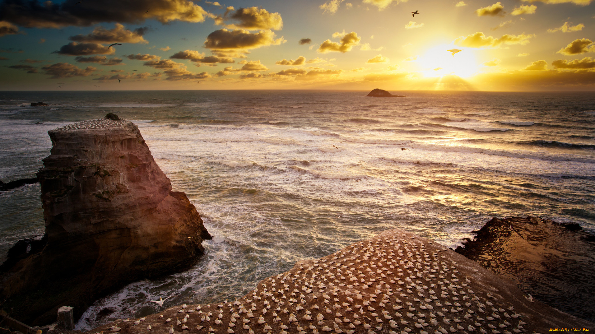 природа, восходы, закаты, океан, облака, солнце, горизонт, побережье