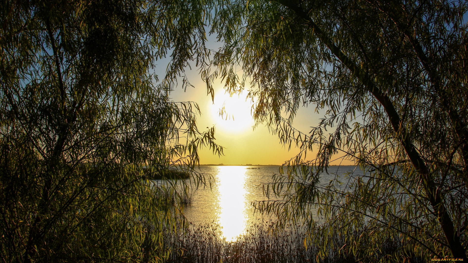 природа, восходы, закаты, солнце, свет, деревья, океан