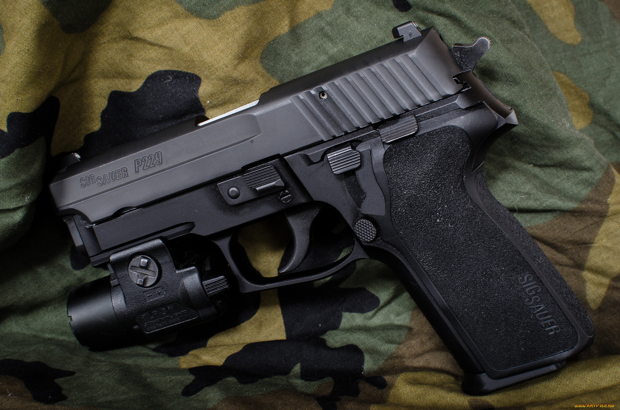 sig, p229, оружие, пистолеты, фонарик, пистолет