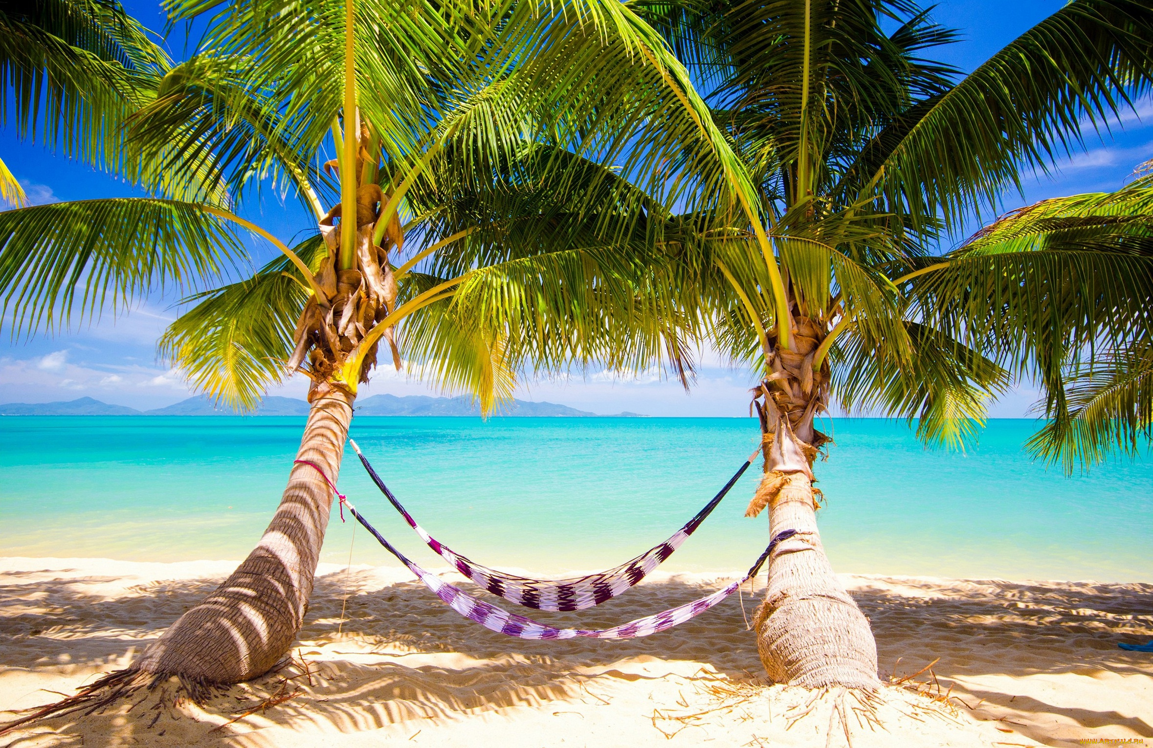 природа, тропики, vacation, sunshine, summer, ocean, sea, palms, beach, берег, песок, пальмы, море, пляж, hammock, tropical, paradise
