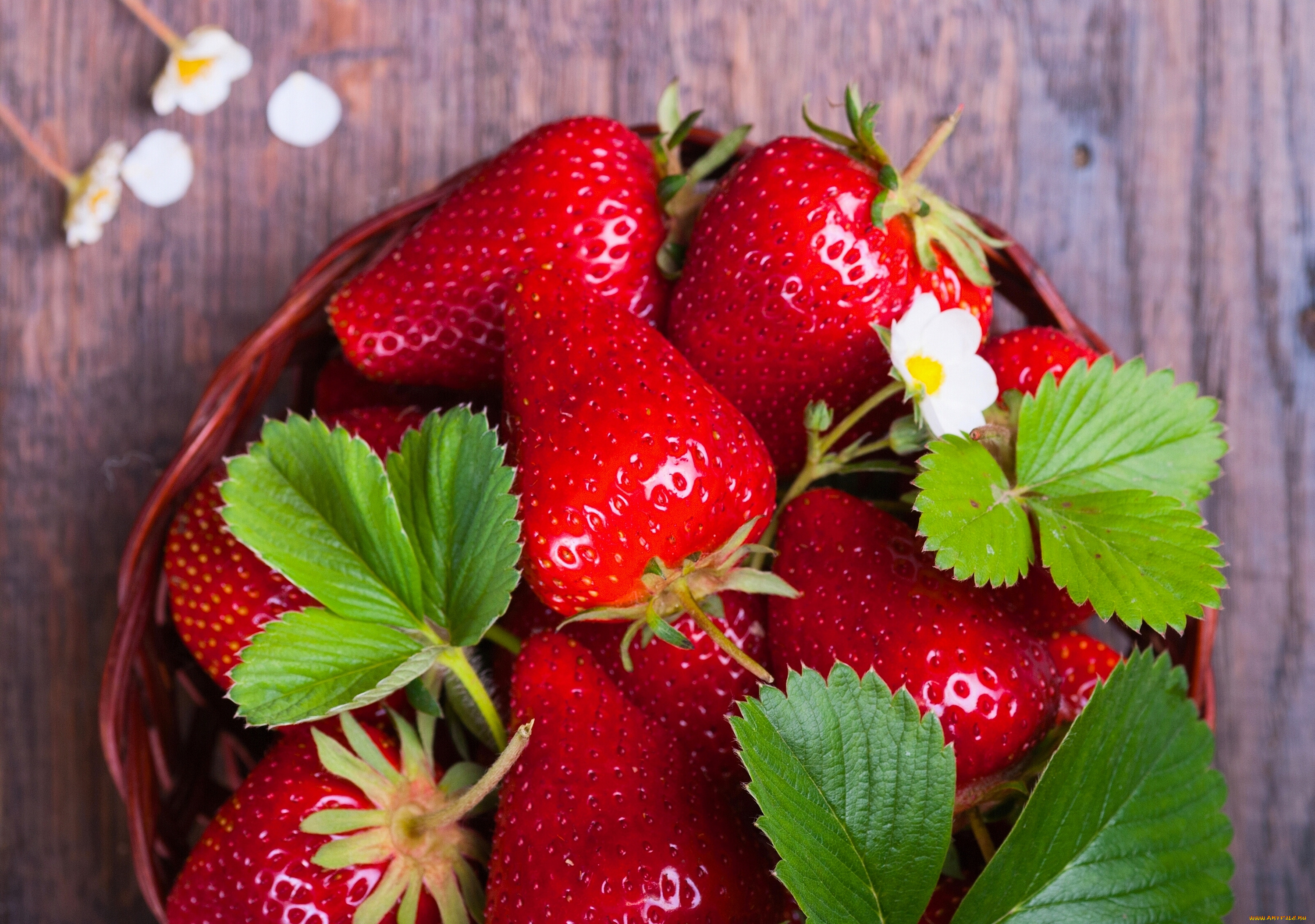 еда, клубника, , земляника, ягоды