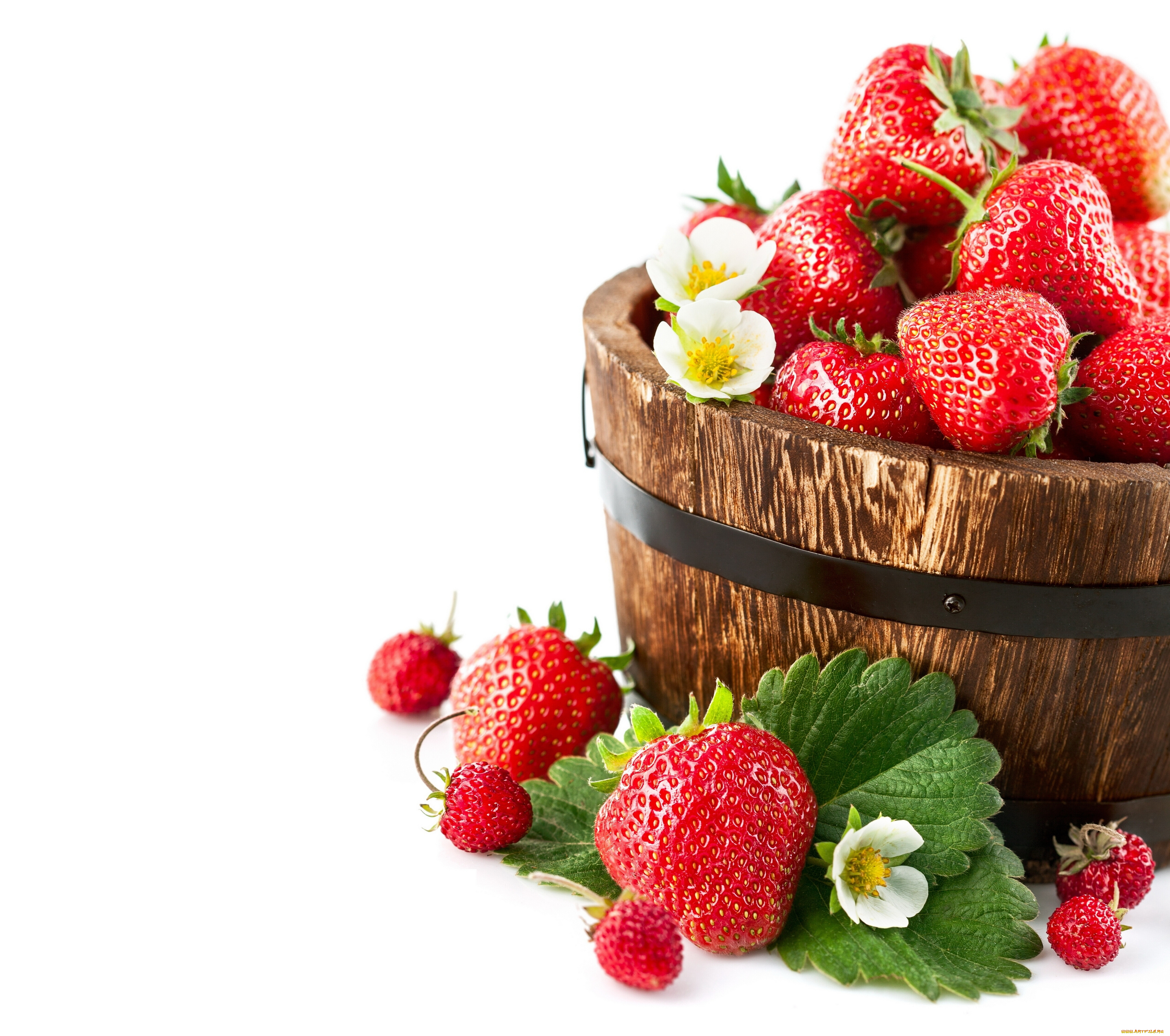 еда, клубника, , земляника, ягоды