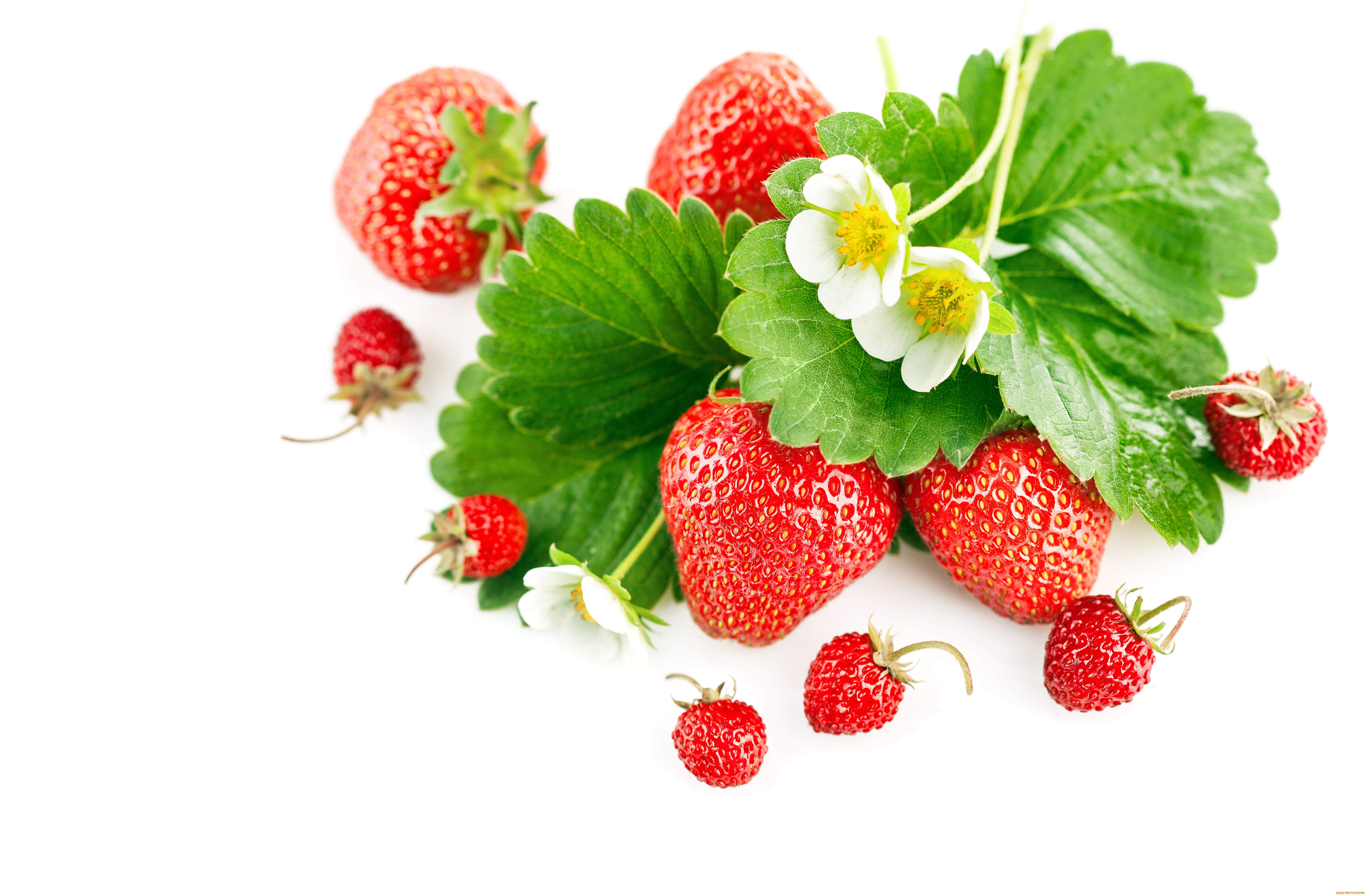еда, клубника, , земляника, ягоды