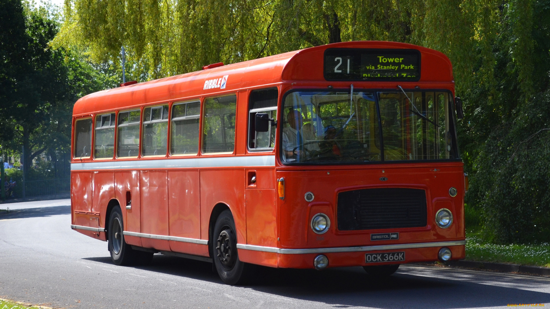 автомобили, автобусы, пассажирский, транспорт