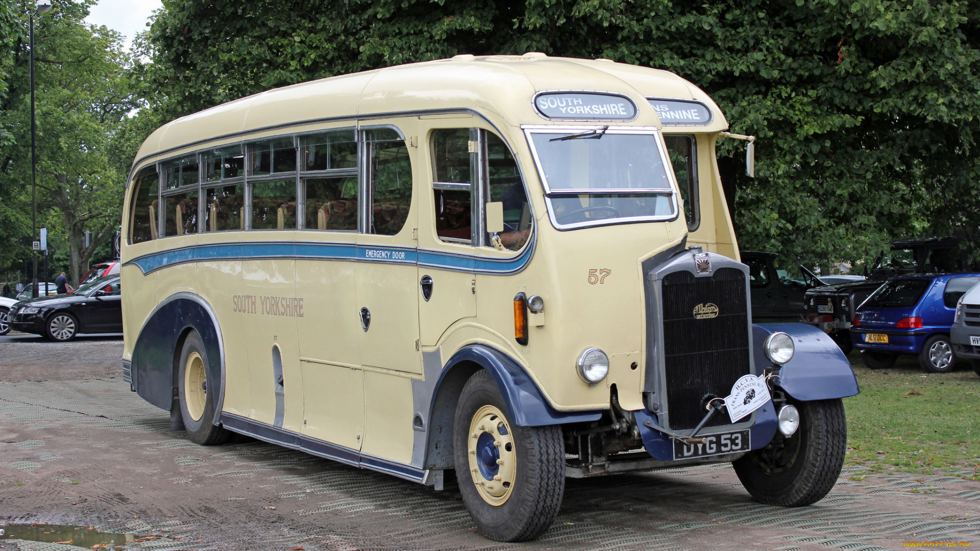 автомобили, автобусы, транспорт, пассажирский