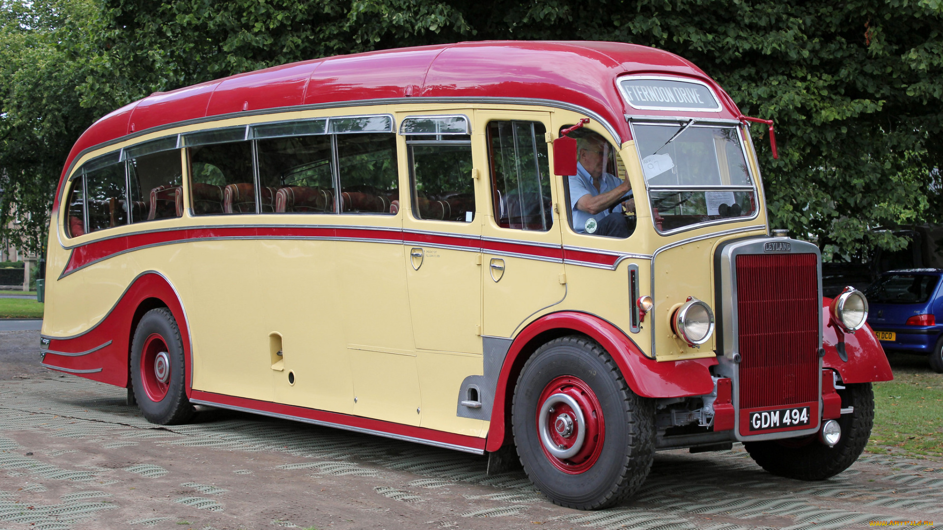 автомобили, автобусы, транспорт, пассажирский