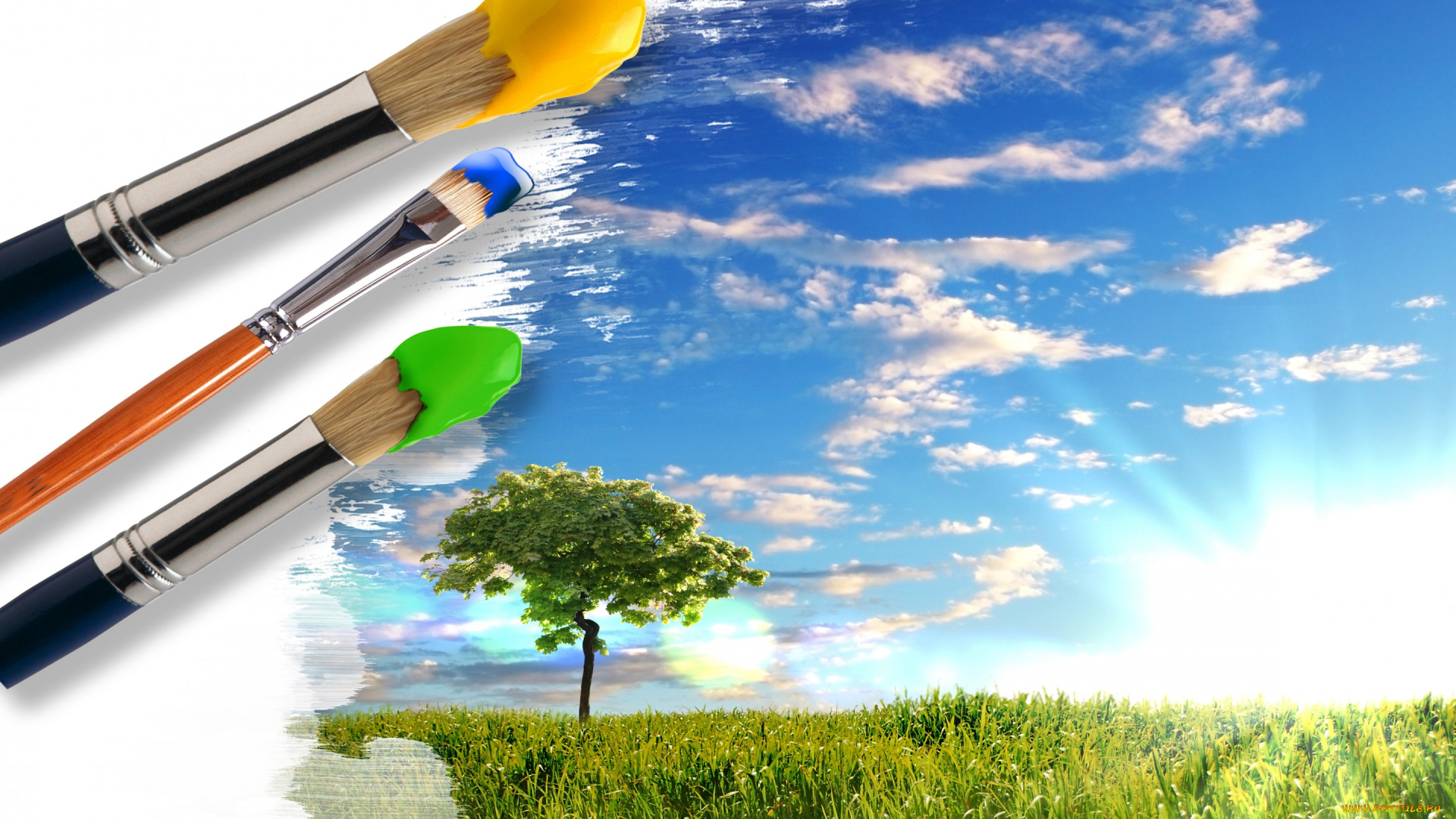 разное, компьютерный, дизайн, креатив, краски, кисти, трава, зелень, дерево, небо, солнце, облака