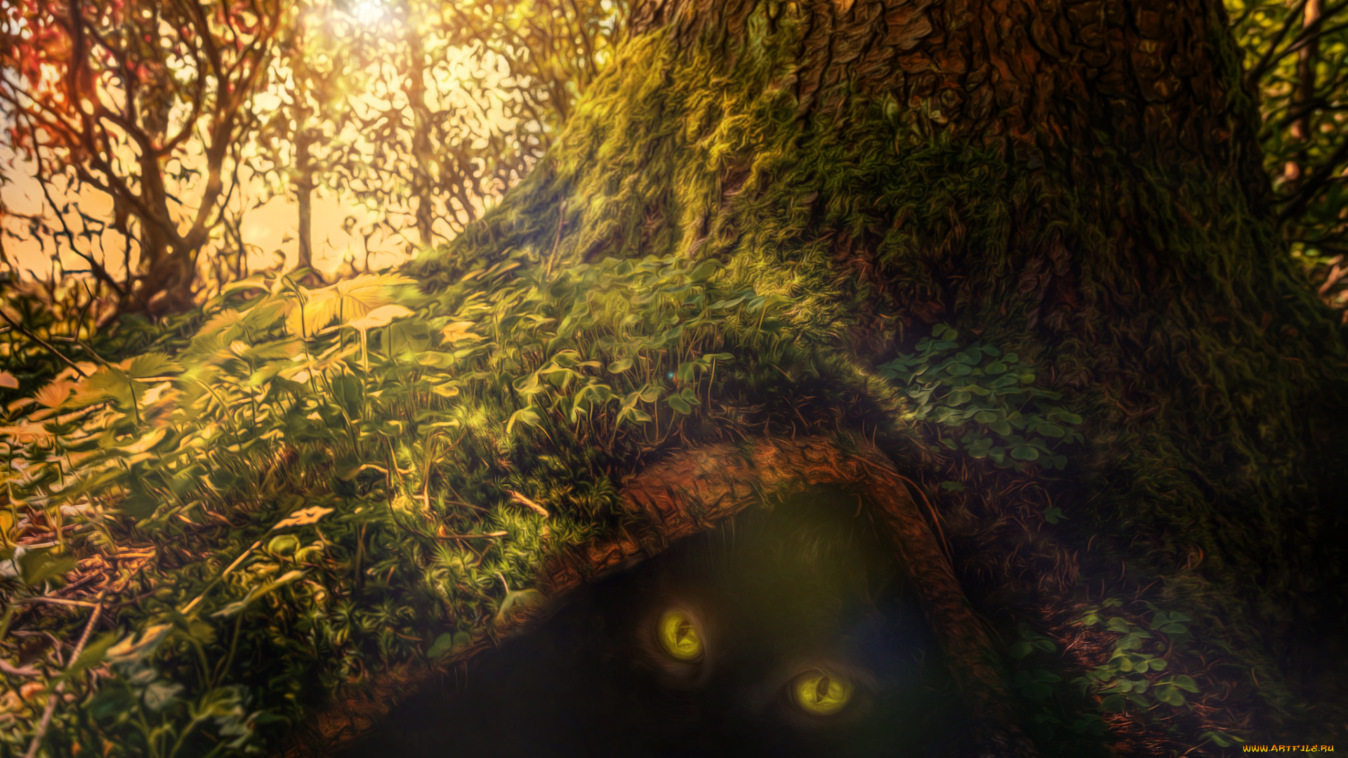 разное, компьютерный, дизайн, растения, лес, кошачьи, глаза