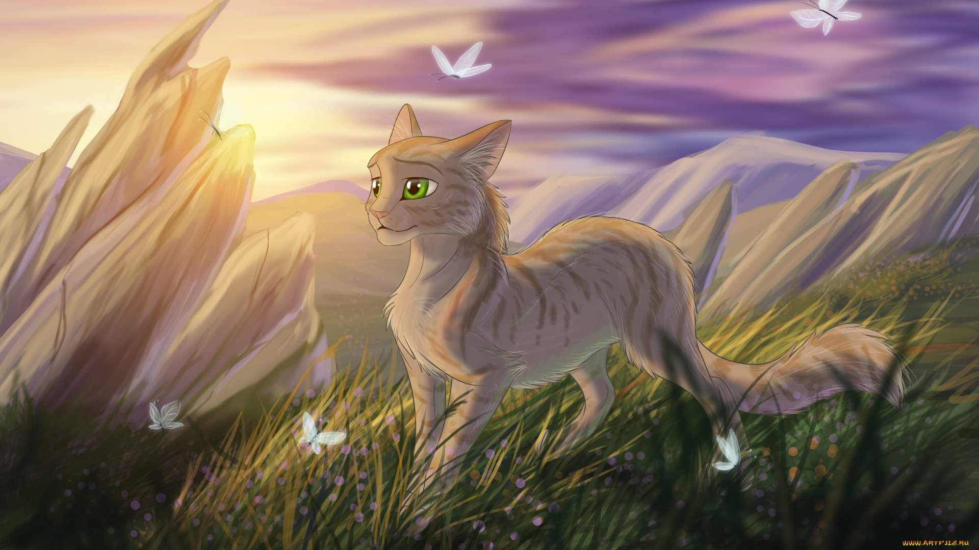 рисованное, животные, , коты, взгляд, бабочки, фон, кот