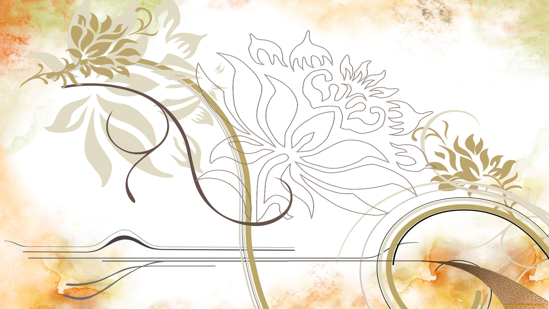 векторная, графика, цветы, , flowers, линии, полосы, хризантемы, цветы, пятна