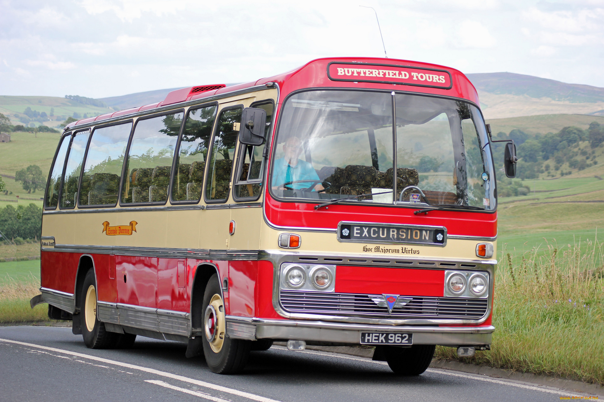 автомобили, автобусы, транспорт, пассажирский