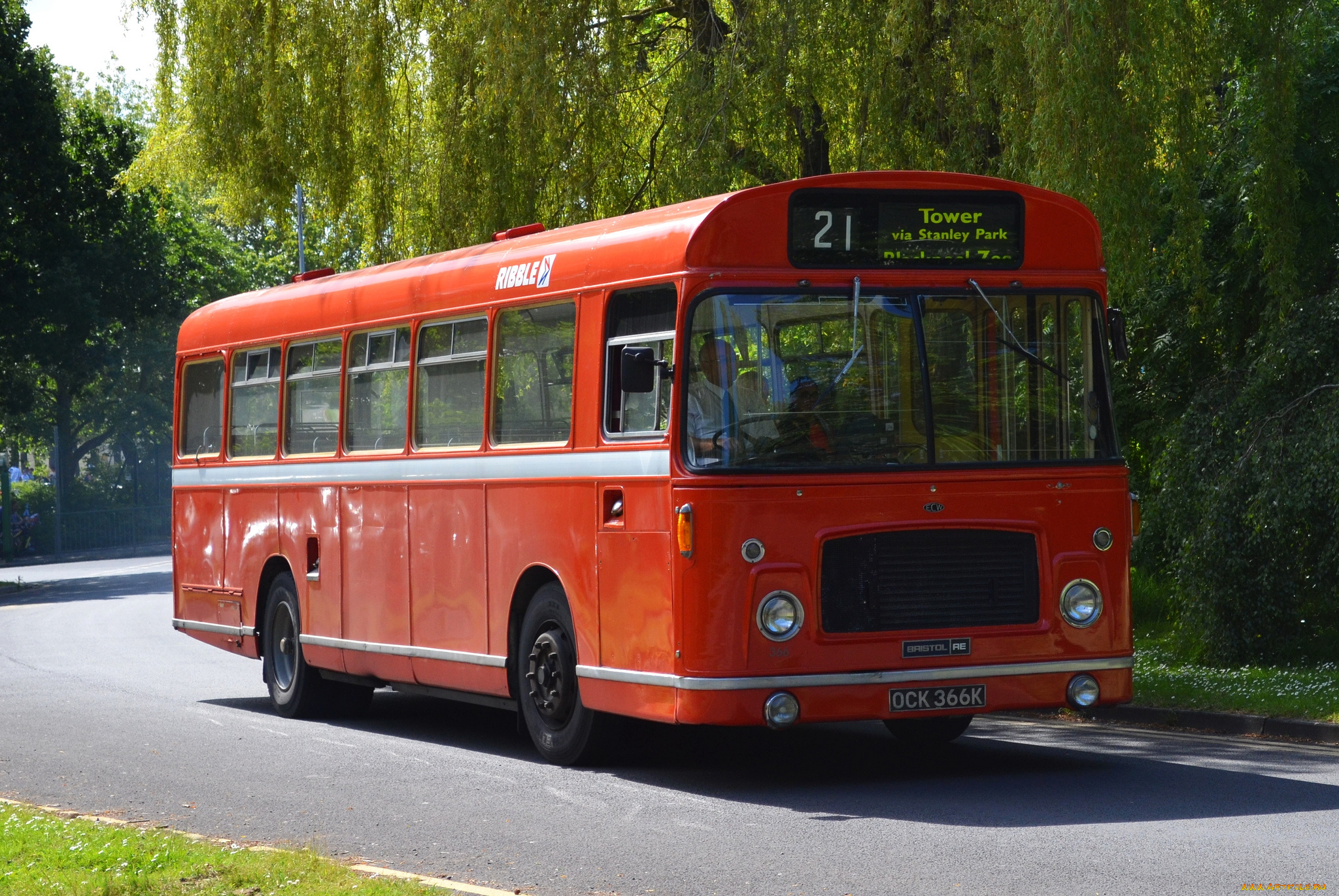 автомобили, автобусы, пассажирский, транспорт