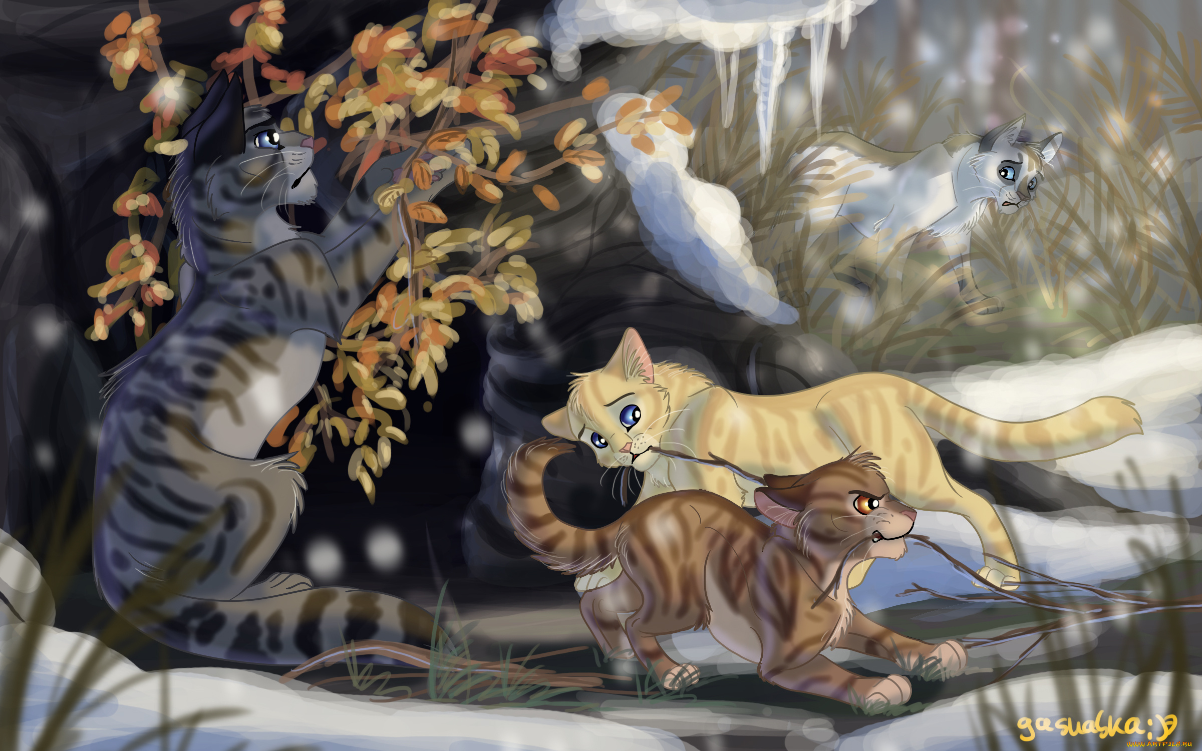 рисованное, животные, , коты, коты, взгляд, фон