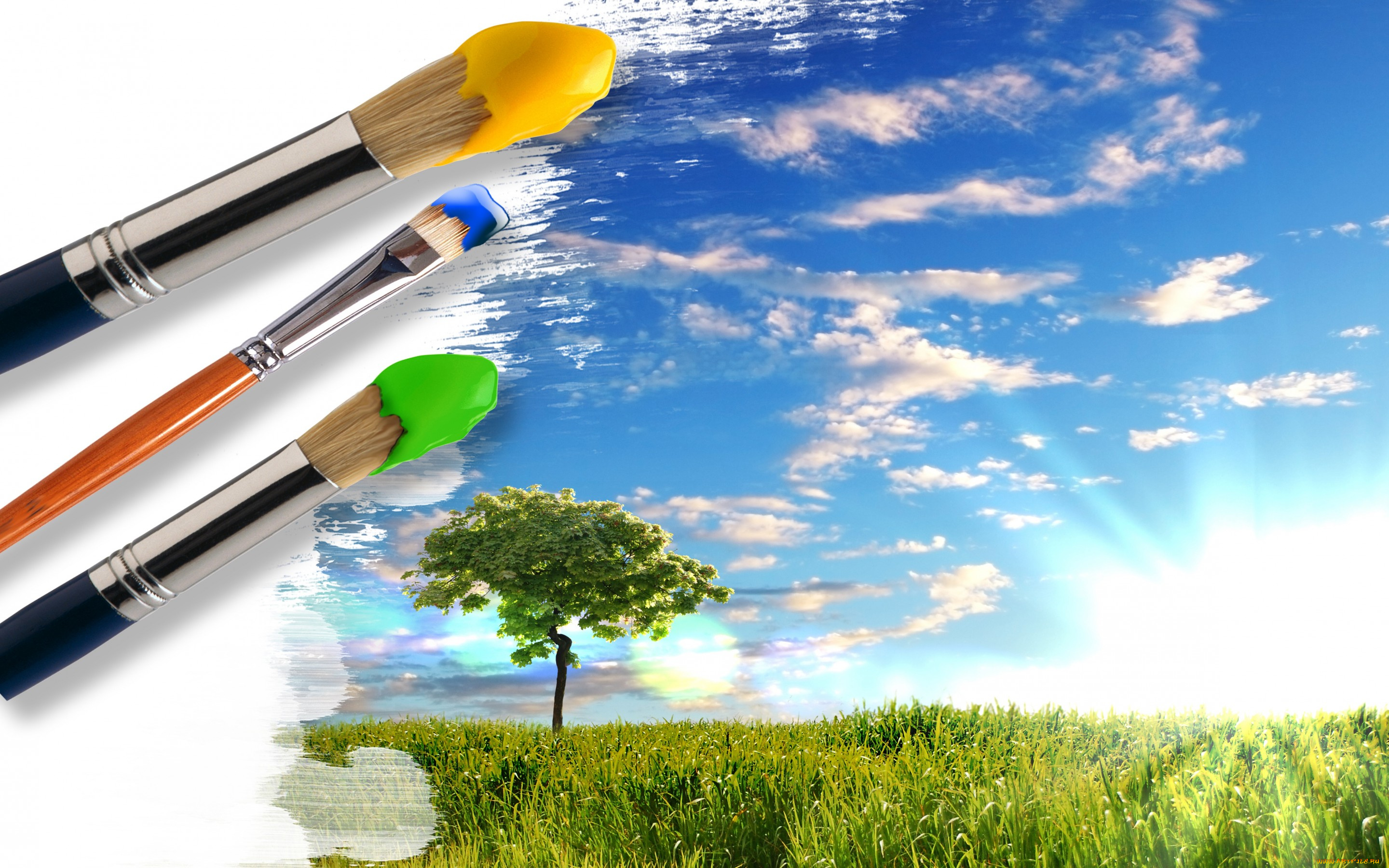 разное, компьютерный, дизайн, креатив, краски, кисти, трава, зелень, дерево, небо, солнце, облака