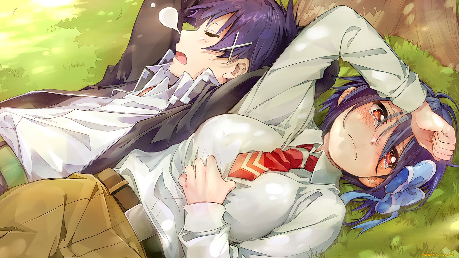 nisekoi, аниме, девушка, фон, взгляд