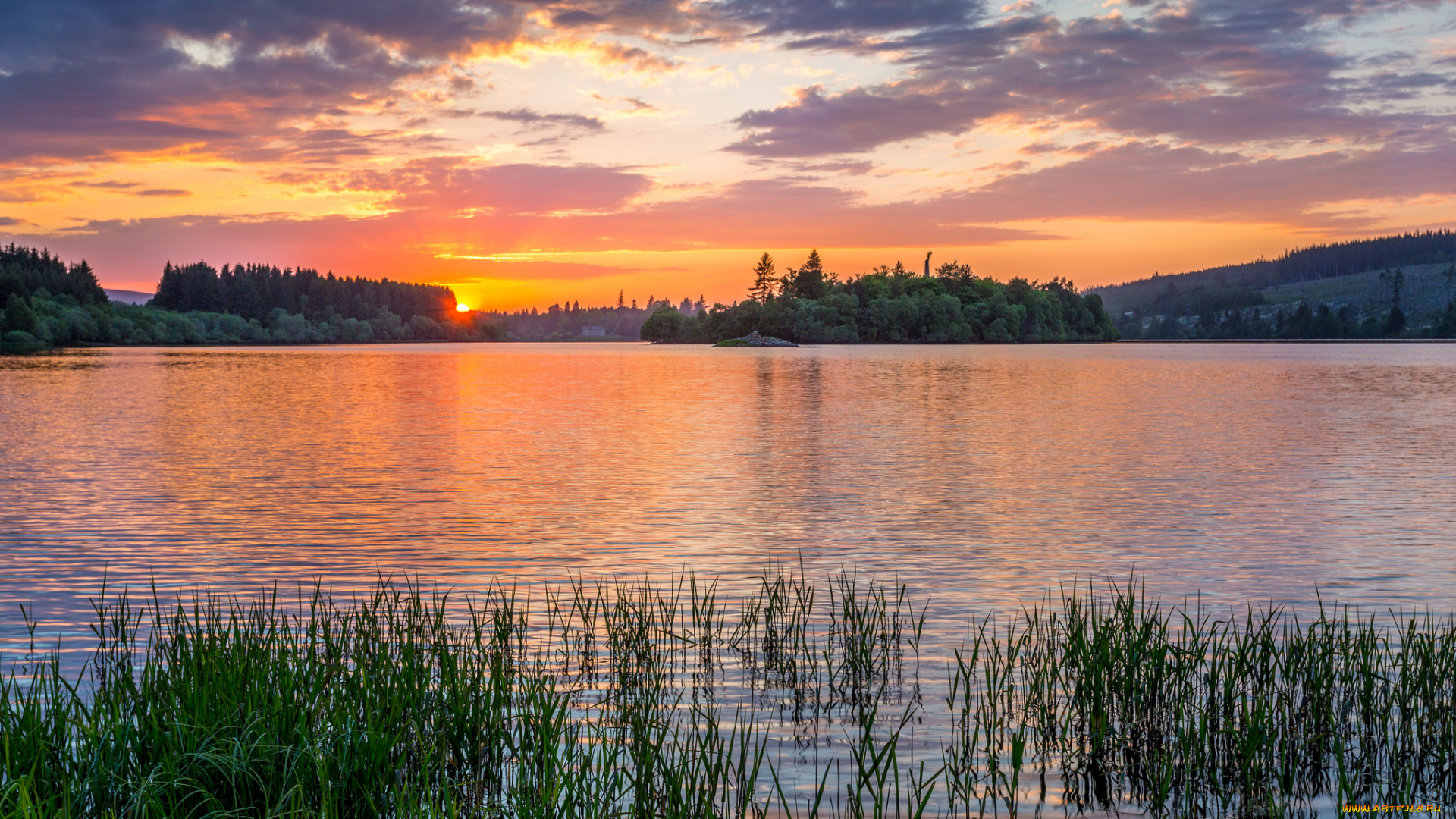 природа, реки, озера, лес, река