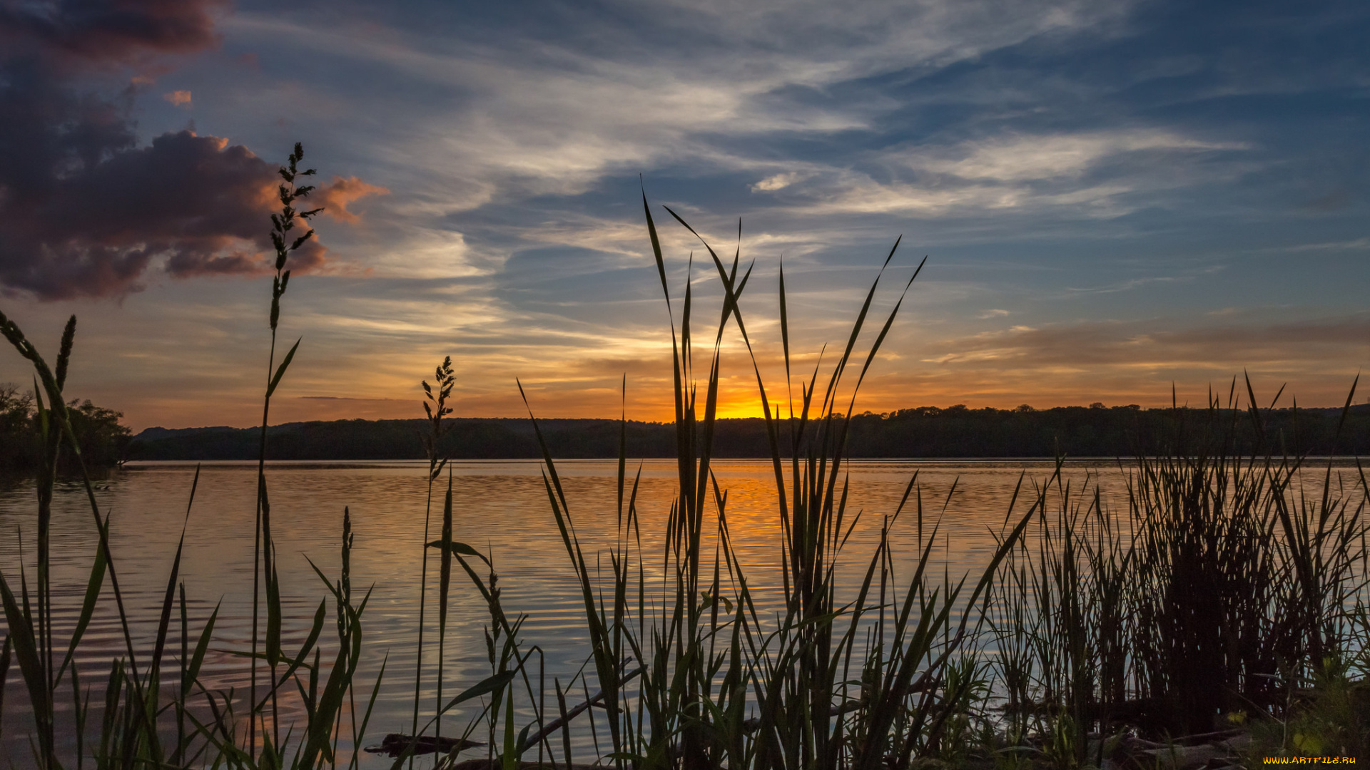 природа, реки, озера, лес, река