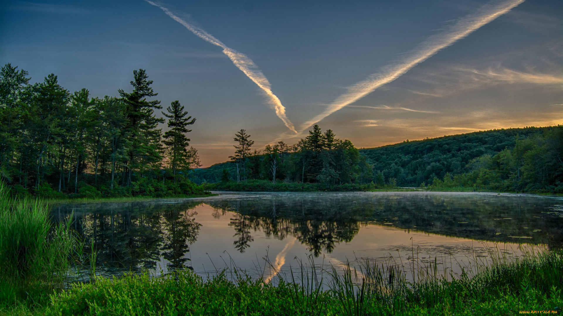 природа, реки, озера, лес, река