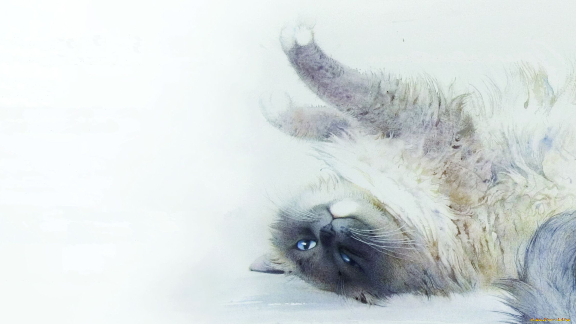 рисованное, животные, , коты, потягивается, лежит, кошка, арт, кот, акварель