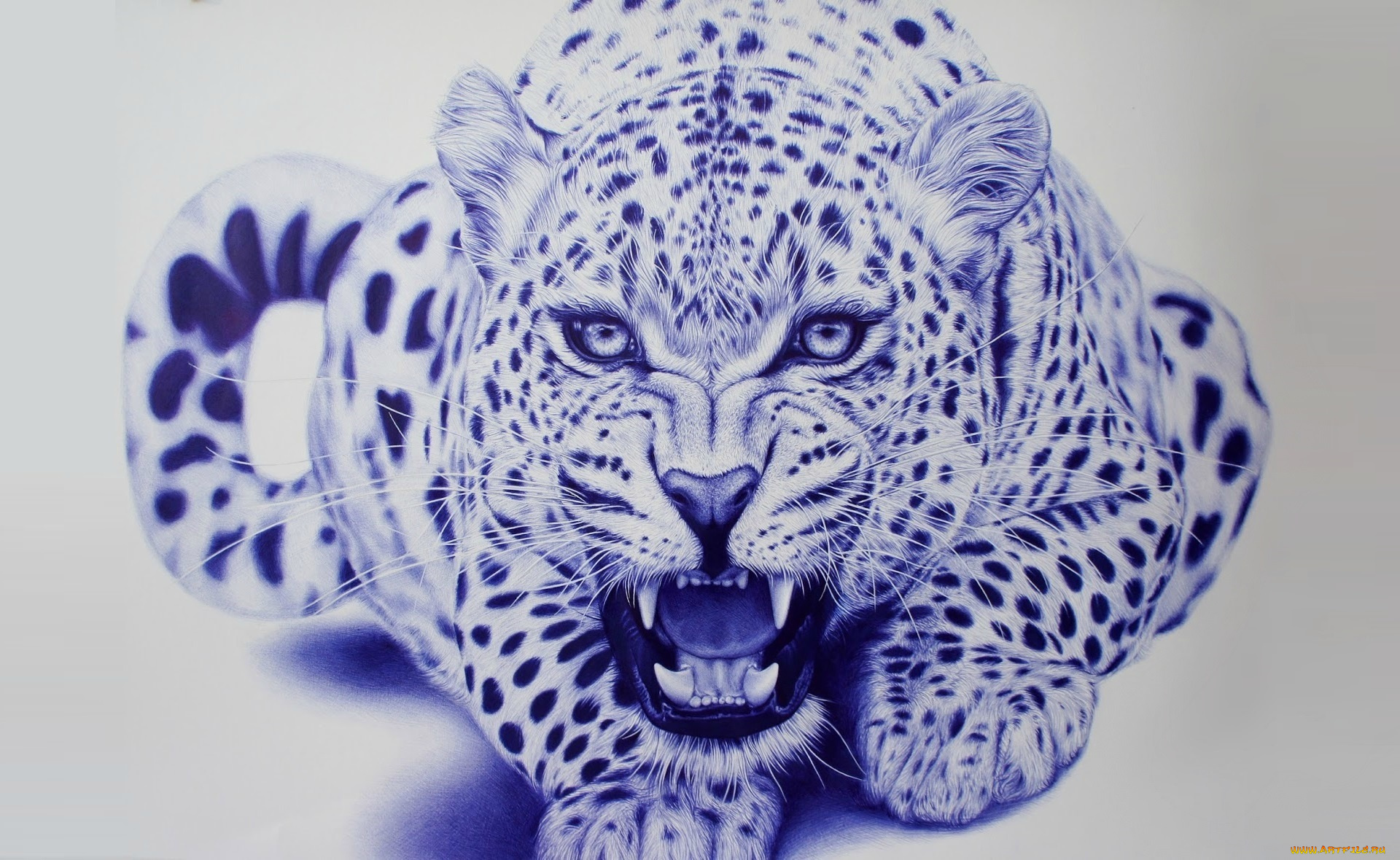 рисованное, животные, леопард, зверь, арт, eva, garrido