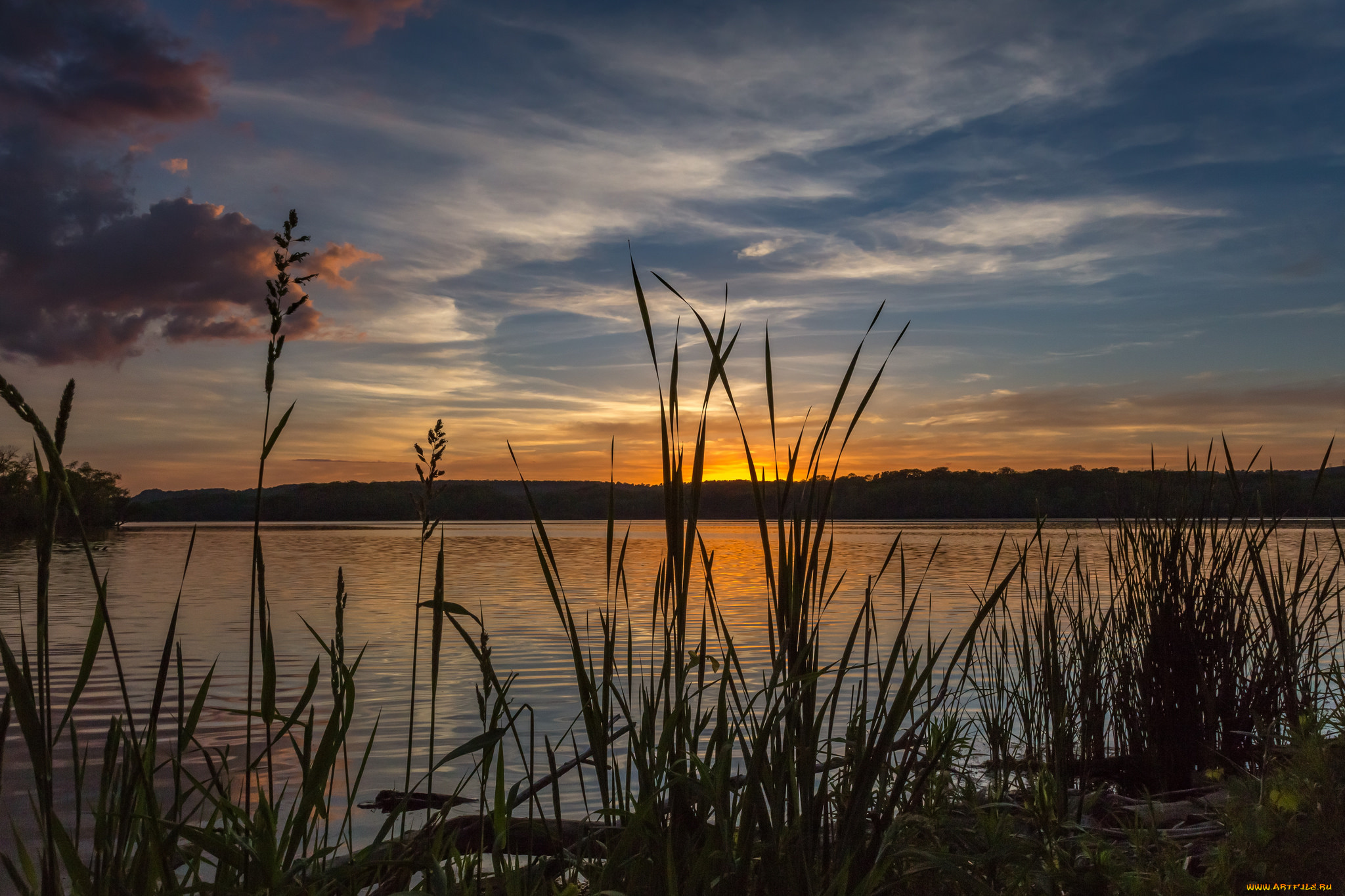 природа, реки, озера, лес, река