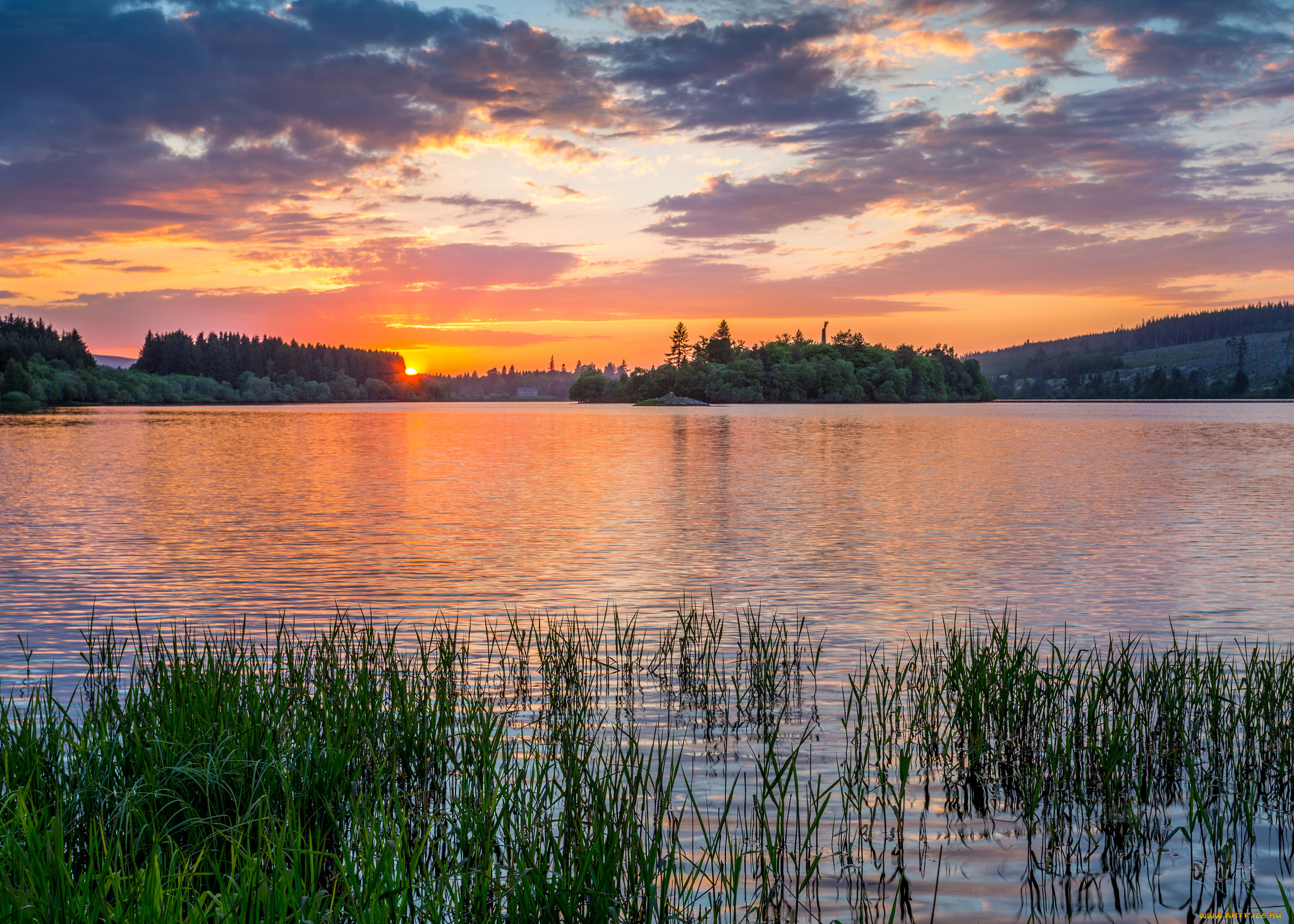 природа, реки, озера, лес, река