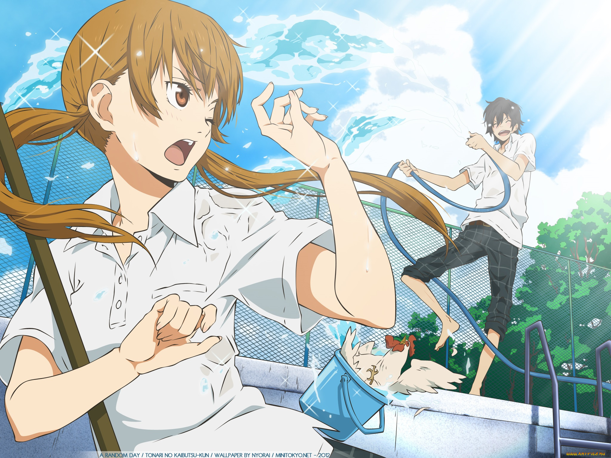 аниме, tonari, no, kaibutsu, девушка, парень