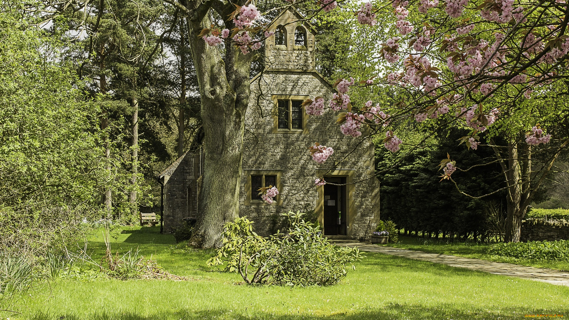 англия, города, -, здания, , дома, трава, цветущее, дерево