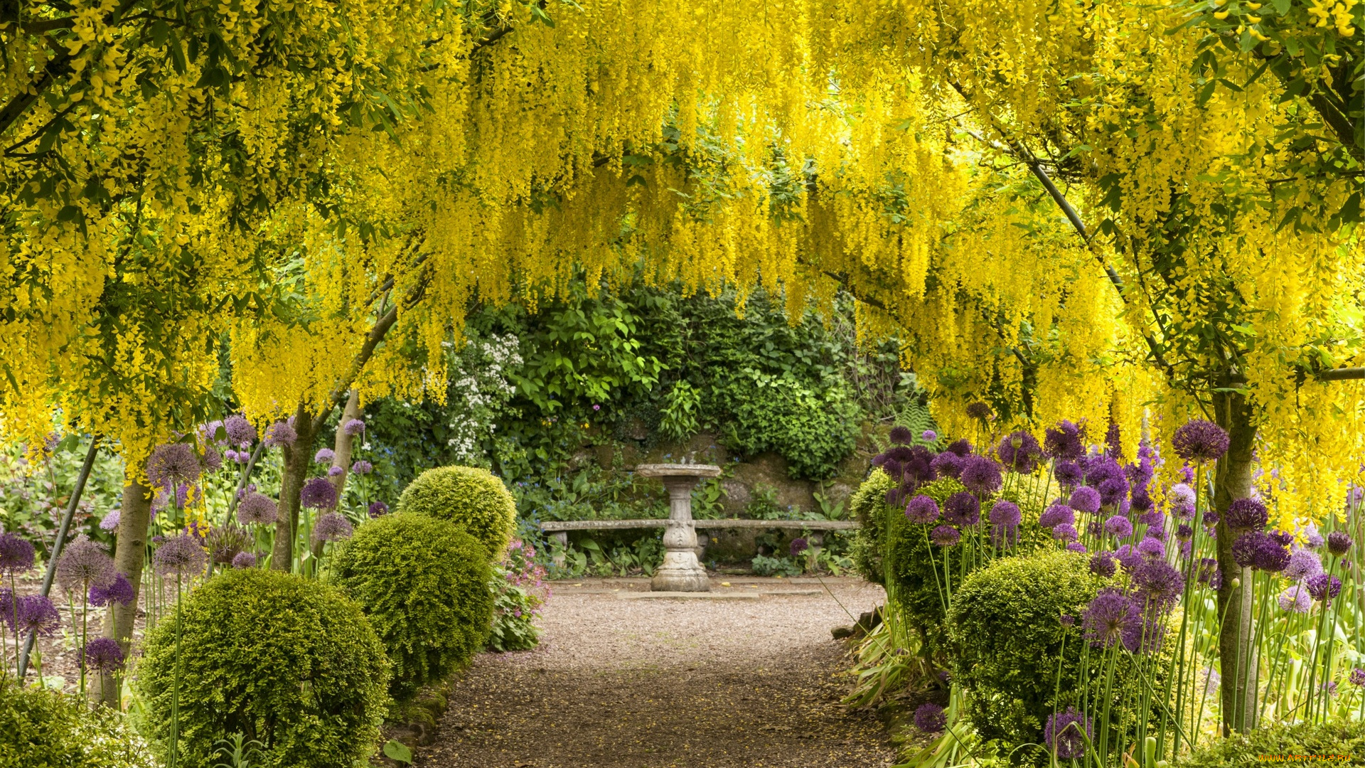 цветы, цветущие, деревья, , , кустарники, кустарники, скамейка