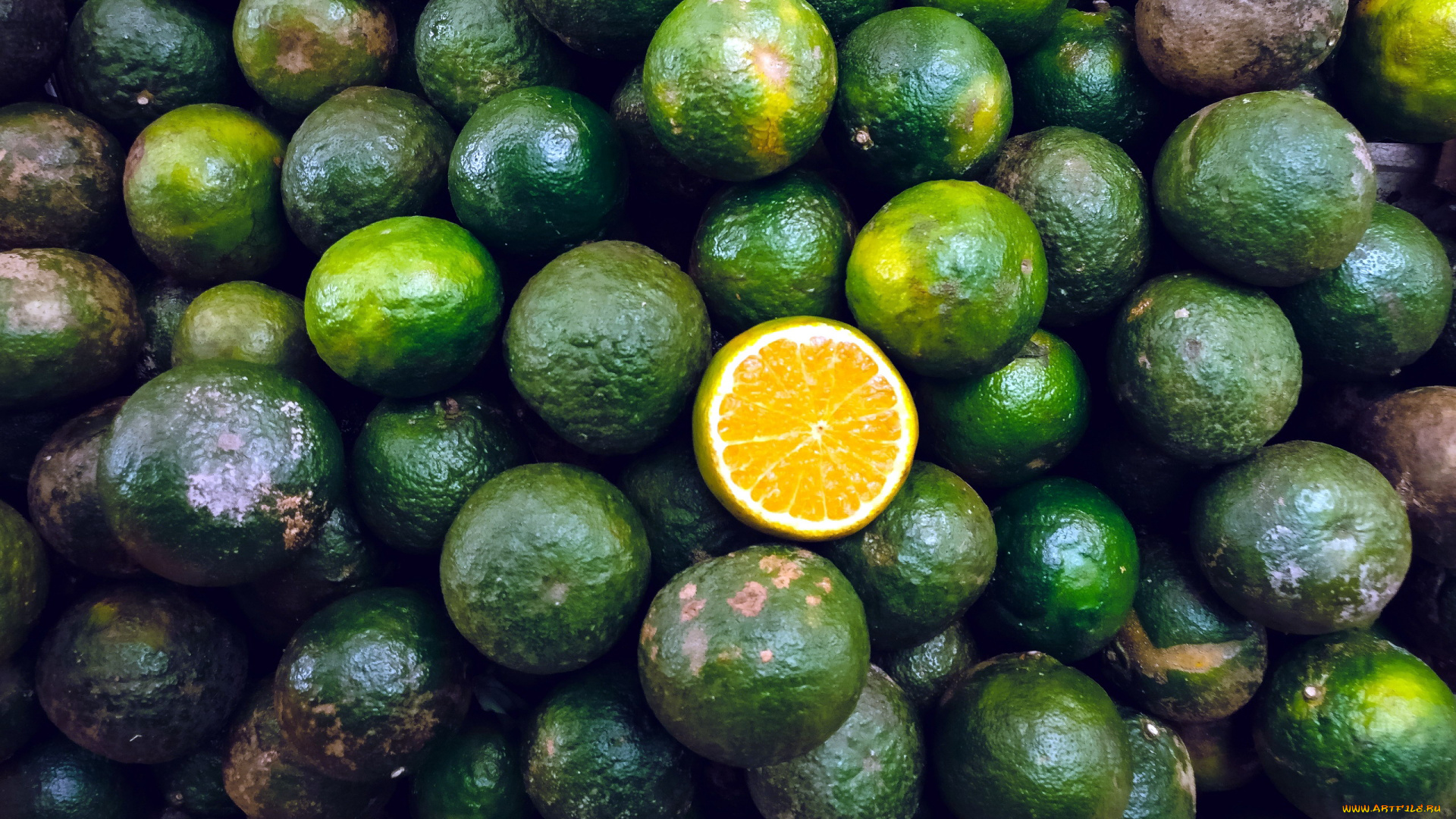 еда, цитрусы, много, лаймы