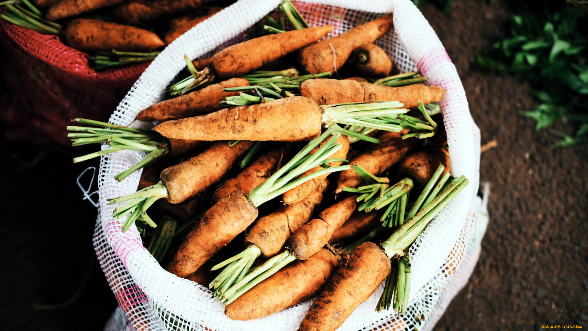 еда, морковь, урожай, корнеплоды, много, мешок