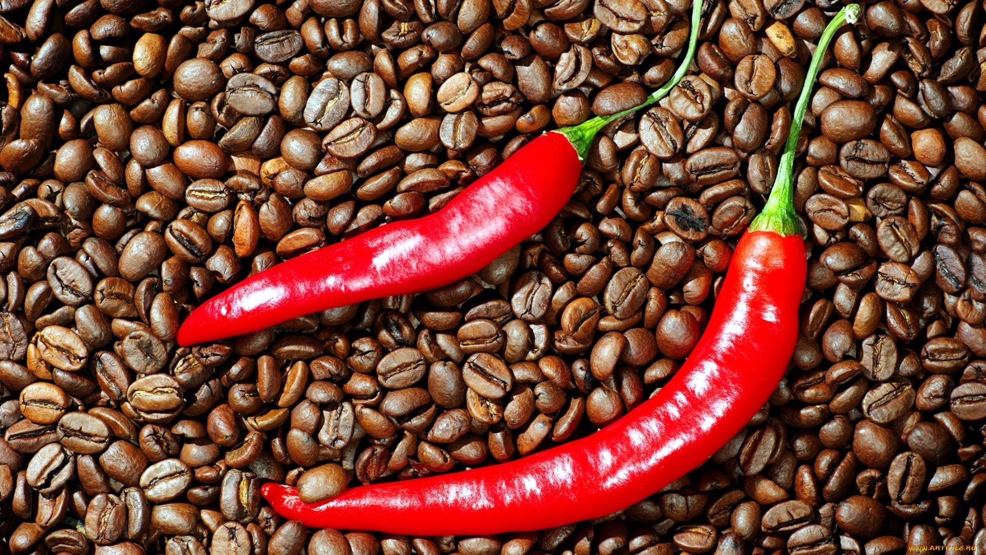 еда, разное, перец, кофейные, зерна, стручки, острый, красный