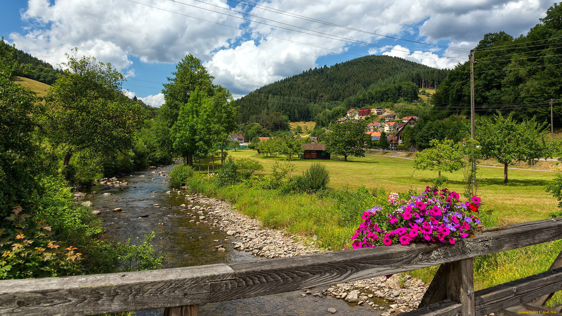 города, -, пейзажи, река, мост, дома, цветы, лес