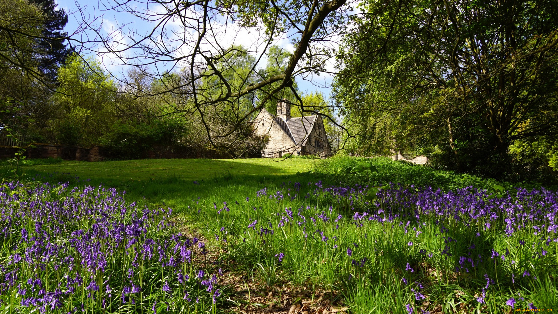 города, -, пейзажи, трава, цветы, деревья