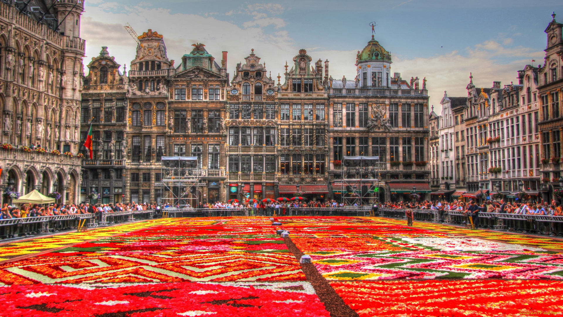 города, брюссель, , бельгия, цветочный, ковер
