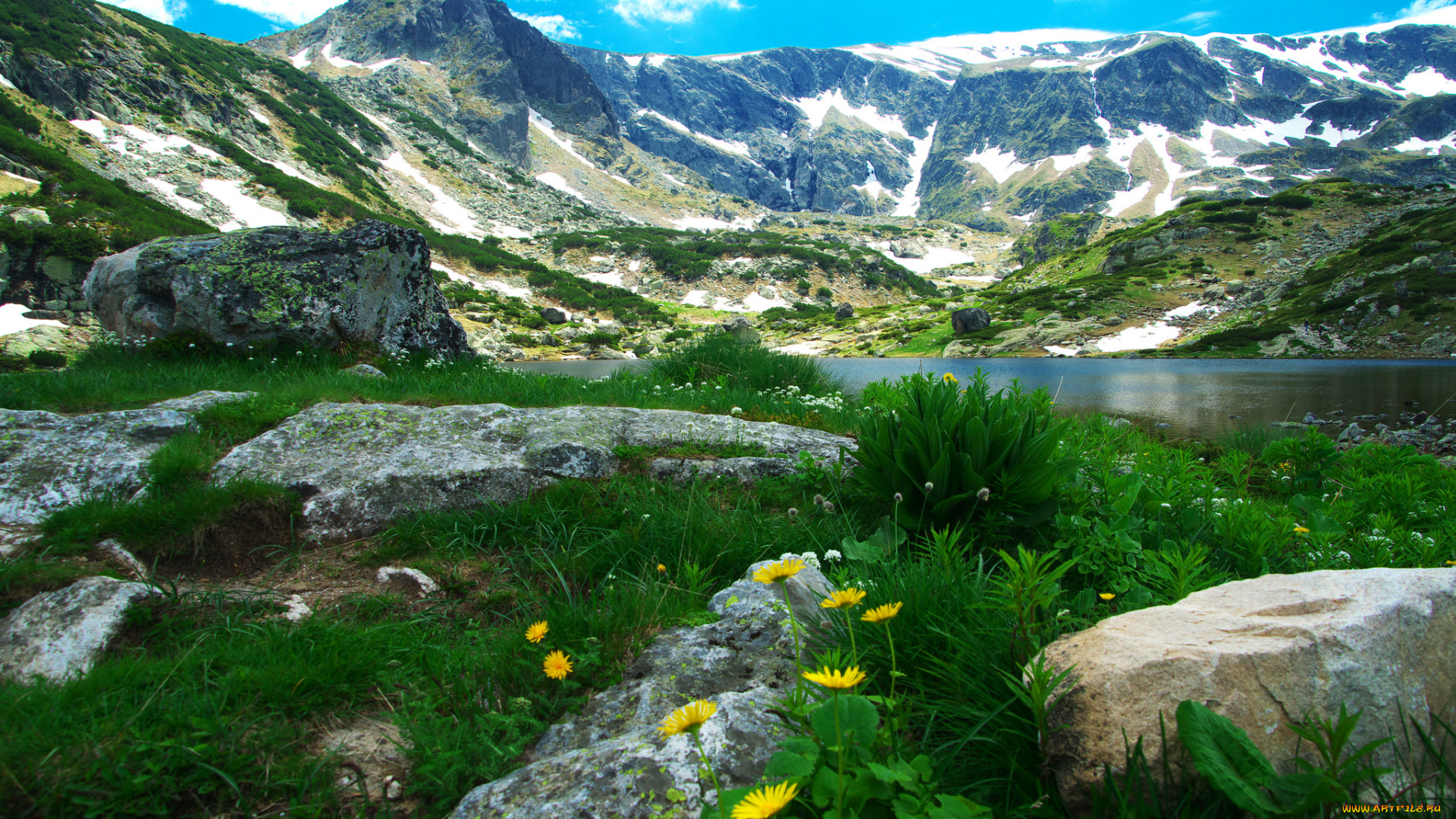 природа, горы, деревья, камни