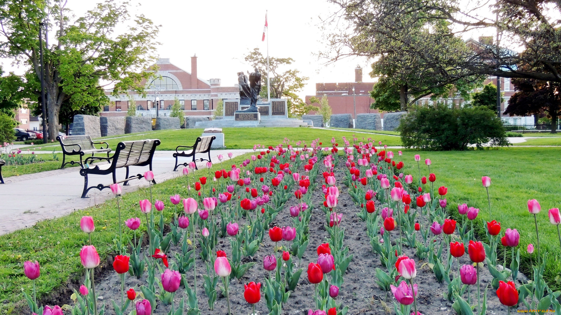 природа, парк, памятник, скамейки, тюльпаны, весна