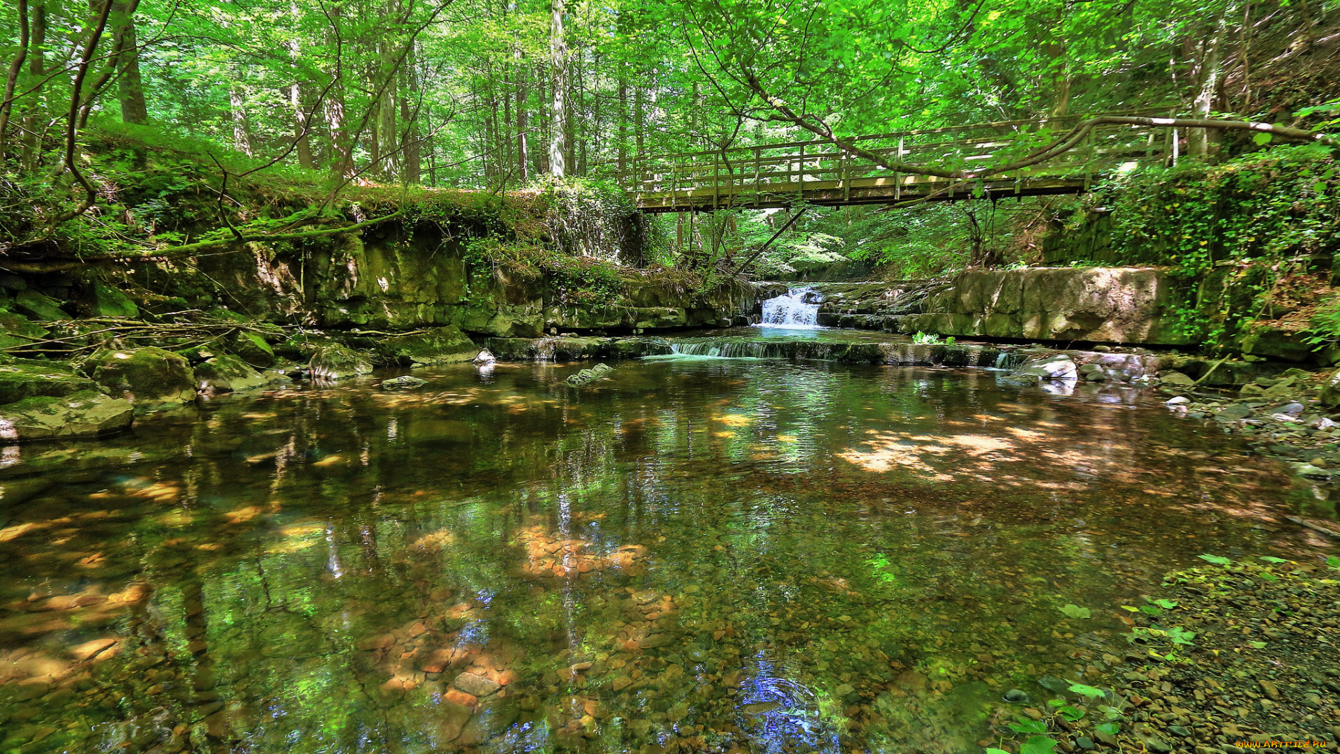 природа, реки, озера, река, лес